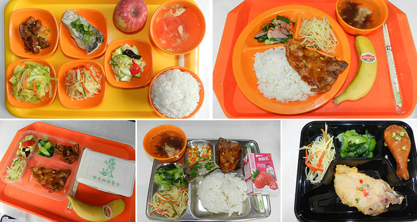 大型無公害蔬菜種植基地